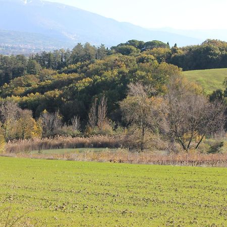 Agriturismo La Ginestrella Civitella D'Arna ภายนอก รูปภาพ