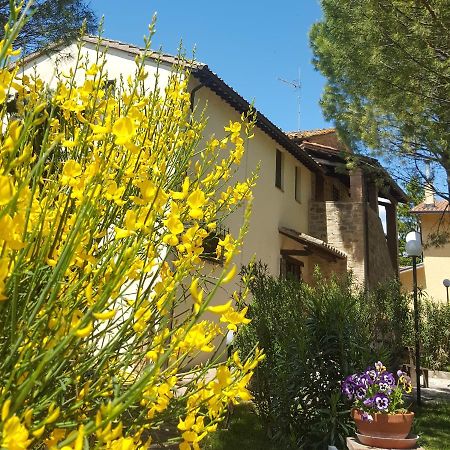 Agriturismo La Ginestrella Civitella D'Arna ภายนอก รูปภาพ