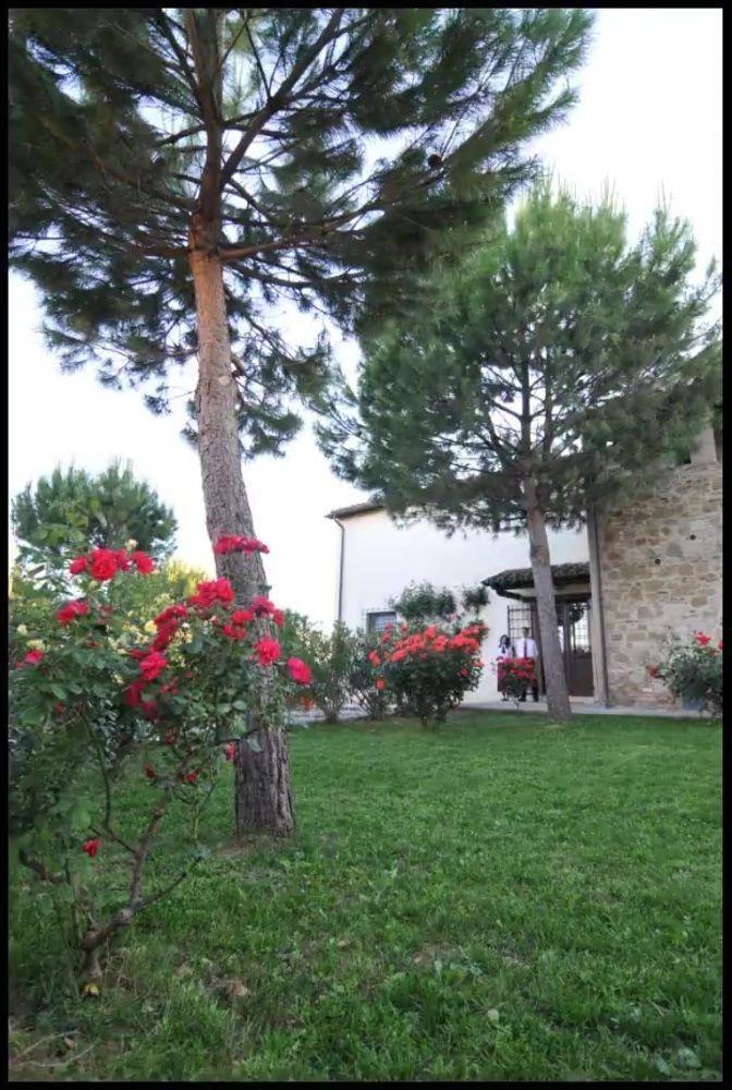 Agriturismo La Ginestrella Civitella D'Arna ภายนอก รูปภาพ