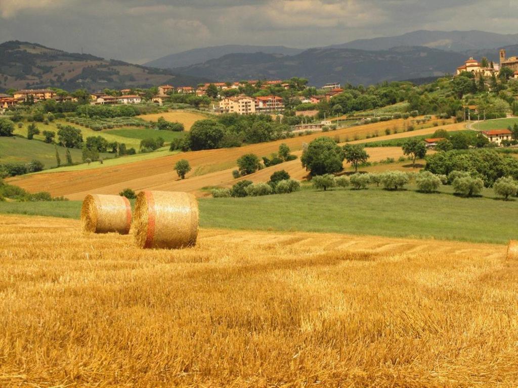 Agriturismo La Ginestrella Civitella D'Arna ภายนอก รูปภาพ