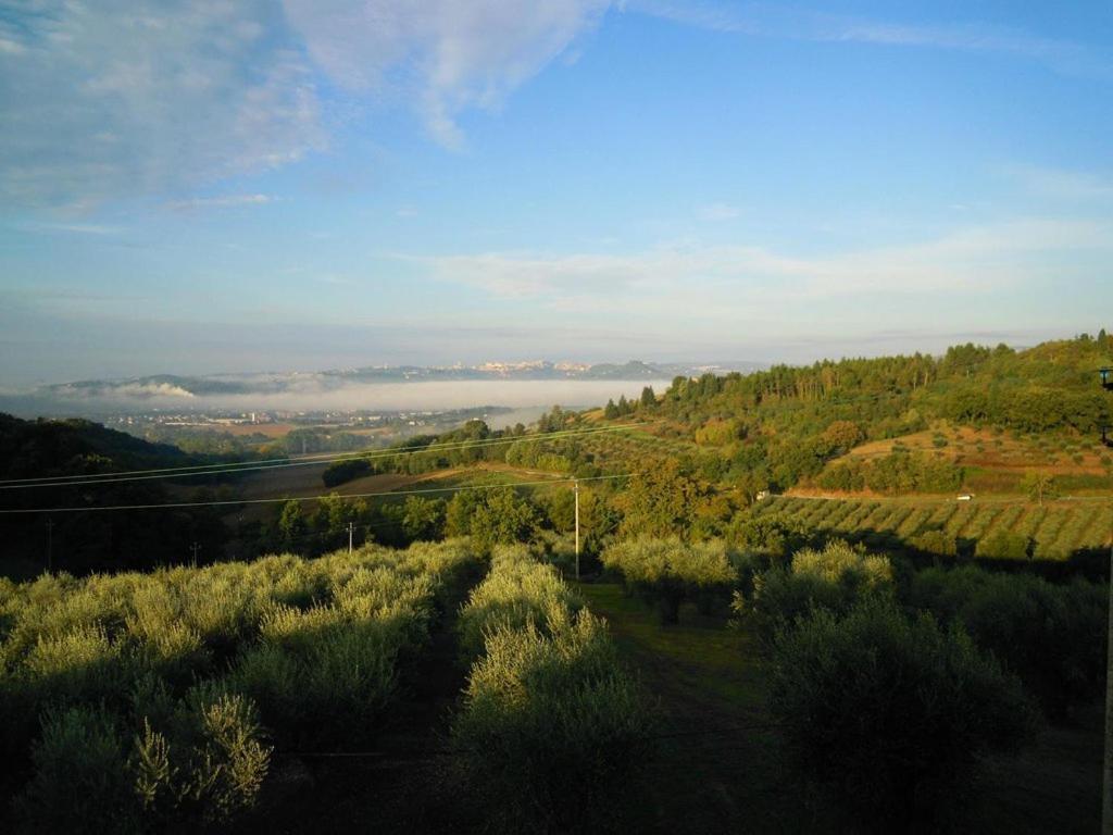 Agriturismo La Ginestrella Civitella D'Arna ภายนอก รูปภาพ